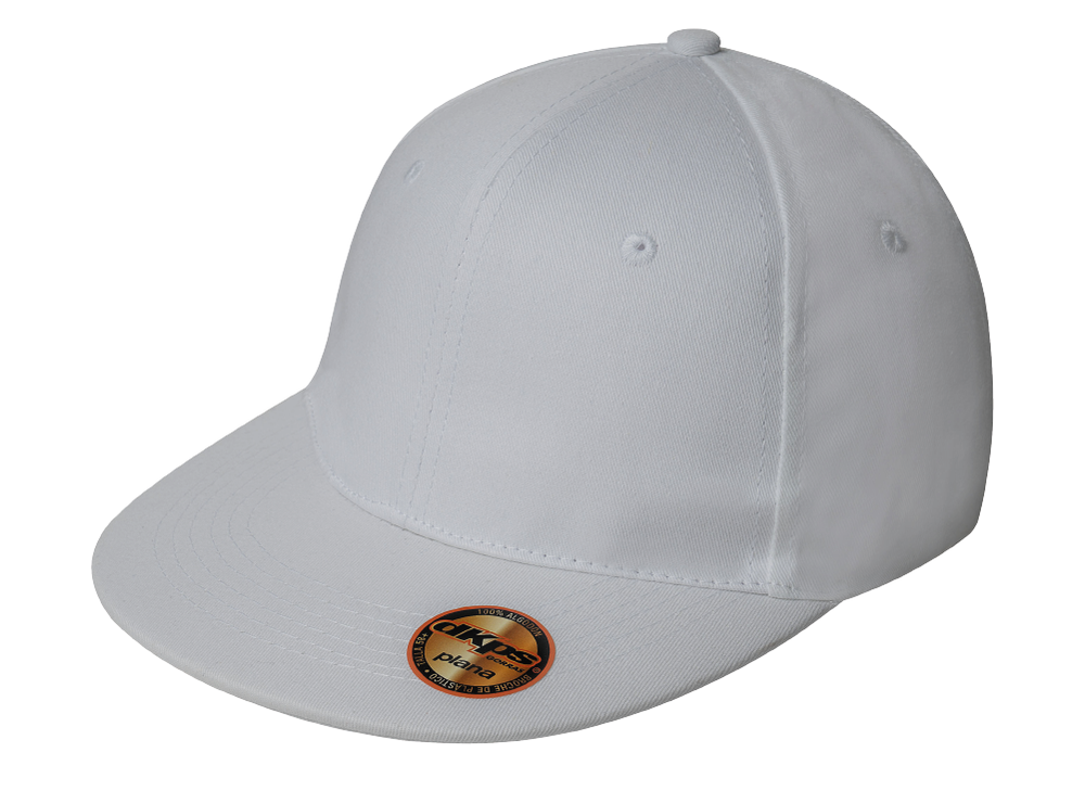 Gorra Plana